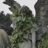 Avatar of aethriarx