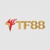 Avatar of tf88