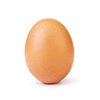 Avatar of EGG