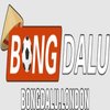 Avatar of Nhà cái BONGDALU
