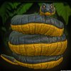 Avatar of nefritku1985