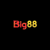 Avatar of big88com