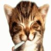 Avatar of sindzinside