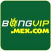 Avatar of Bongvip