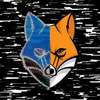 Avatar of ErrorFox404