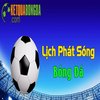 Avatar of lichphatsongbongda