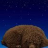 Avatar of phats_