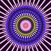Avatar of cpds