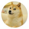 Avatar of moonbeans