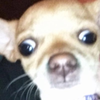 Avatar of Cheyenam
