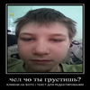 Avatar of maximluka24