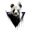 Avatar of guimass27