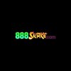 Avatar of 88SN