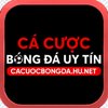 Avatar of Cá cược bóng đá