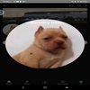 Avatar of starty4213