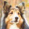Avatar of TimBeaver