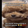 Avatar of mrgriddyman42