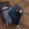 Avatar of lvyey
