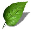 Avatar of LeafCreates