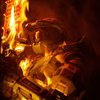 Avatar of EXODST