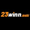 Avatar of 23WIN