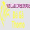 Avatar of dagawingate