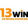 Avatar of 13winhorse