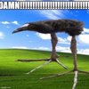 Avatar of tspmosomuch98