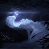 Avatar of Zebbya