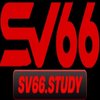 Avatar of Sv66study