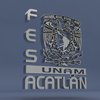 Avatar of FES Acatlán 3D