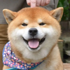 Avatar of jdoog757