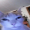 Avatar of cyf04