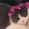 Avatar of Itsdanihere