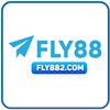 Avatar of FLY88