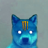 Avatar of monsterenergydog