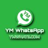 Avatar of YM WhatsApp