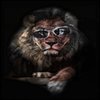 Avatar of Charaf92