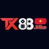 Avatar of tx88bike