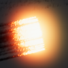 Avatar of therythatisapathetic