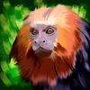 Avatar of mddie
