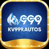Avatar of kv999autos