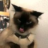 Avatar of kiww_02