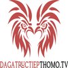 Avatar of dagatructiepthomotv