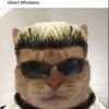 Avatar of albertwhisker