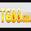 Avatar of tg88gold