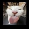 Avatar of questfisher34