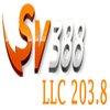 Avatar of SV388