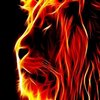 Avatar of Blood_IMIR