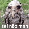 Avatar of Chill_guy